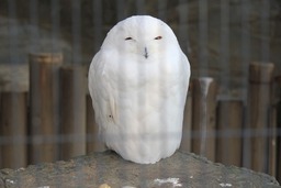 H291216X4s162�����ե�����