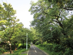 H270802ixy011