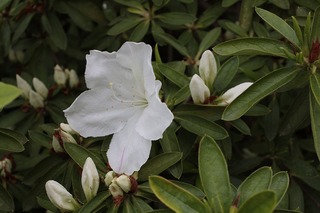 H240430s094