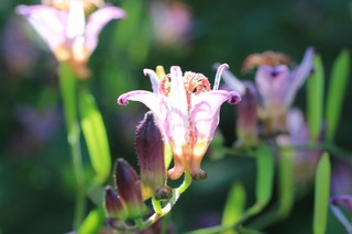H251027s064