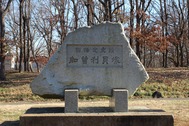 20201220X5s001