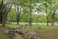 20260413s1367