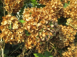 H270802ixy012
