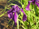20260519s051