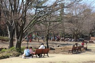 20260321s0943