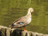 20260519s060
