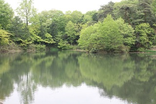 H240420s083