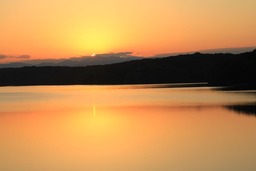 H301124X4s001