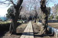 20210131X5S013中氷川神社