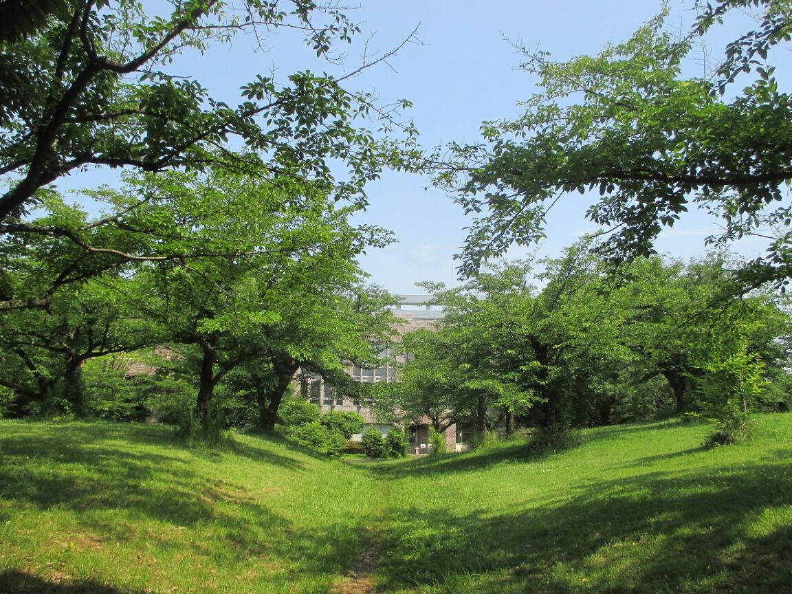 生禿日記 航空公園のお散歩 21 6 8 生禿日記 航空公園のお散歩 21 6 8
