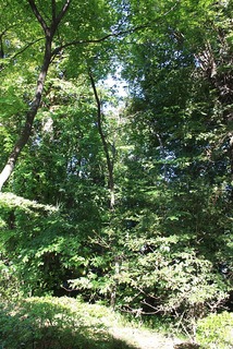 H241001s063