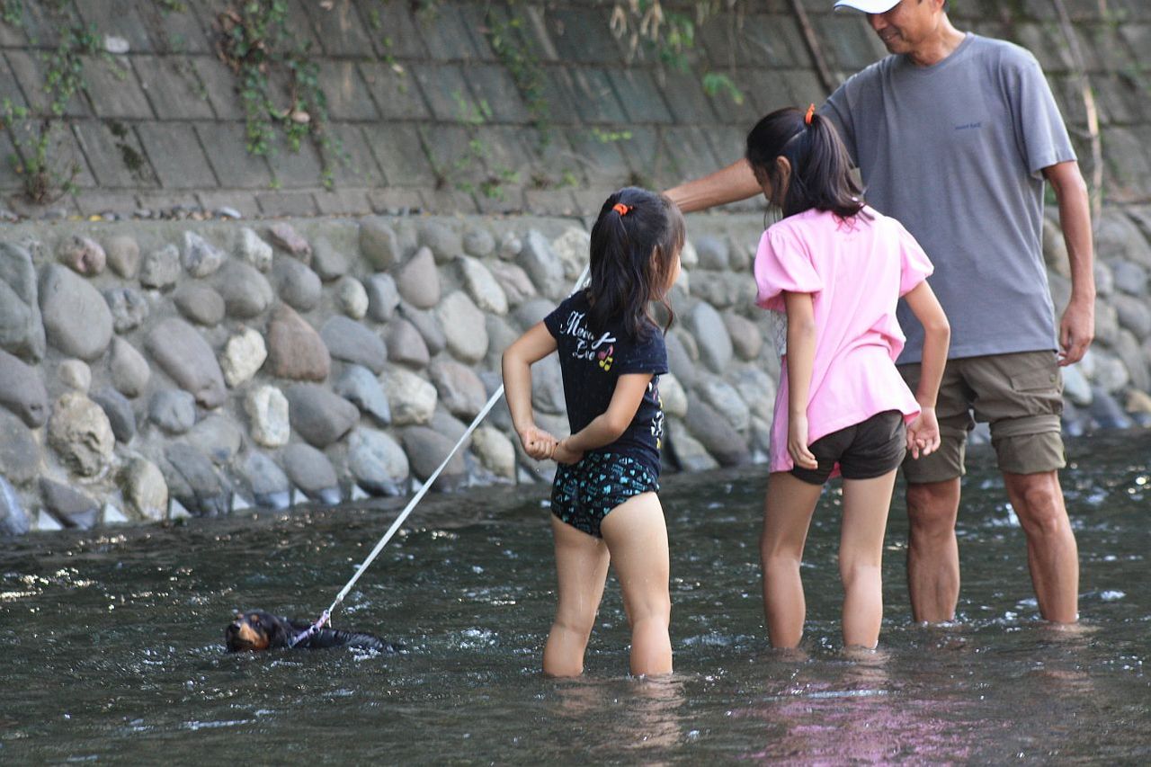 生禿日記 水遊びパンツ濡れたら川に出し 生禿日記 水遊びパンツ濡れたら川に出し