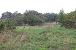 H301026X4s028
