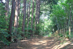 H300527X4s053