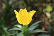 20260413s1494