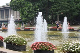 H290826X4s568