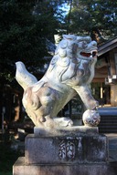 H261024s049