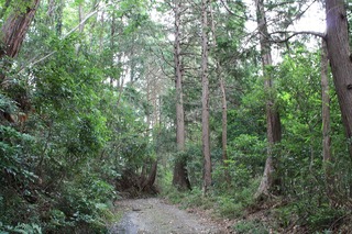 H240630s184