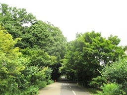 H290725IXYs009