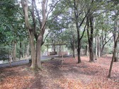 20210127IXYs003