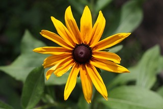H240627s003