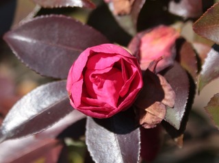 H240129s011