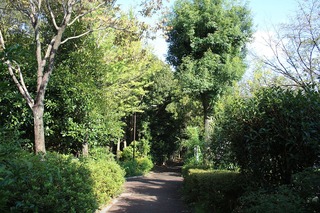 H241001s011