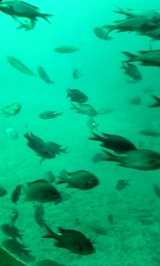 48a305b9.jpg