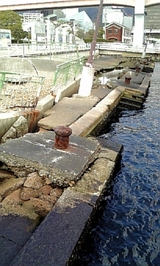 892e4a85.jpg