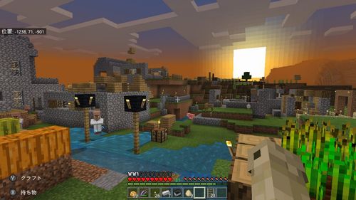 マイクラ 村壊滅 村の存在意義とは ダラガンクェーセン ニーネのゲームloveにっき