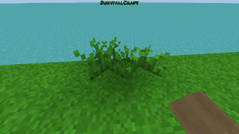 Survivalcraft サバイバルクラフト ナマコとマインクラフトと Survivalcraft サバイバルクラフト ナマコとマインクラフトと