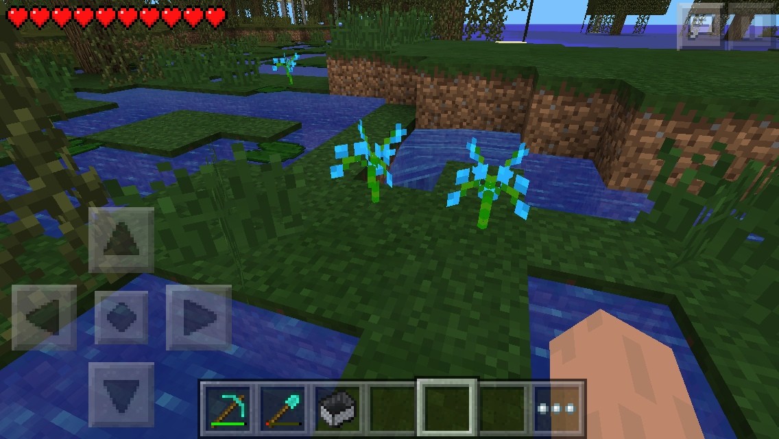 村 ナマコとマインクラフトと