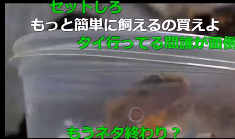 2017-10-09 16-14-12-764