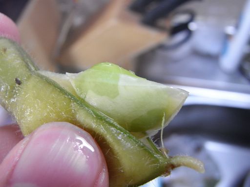 なまのん のらくら:枝豆の冷製スープ に挑戦 - livedoor Blog（ブログ）