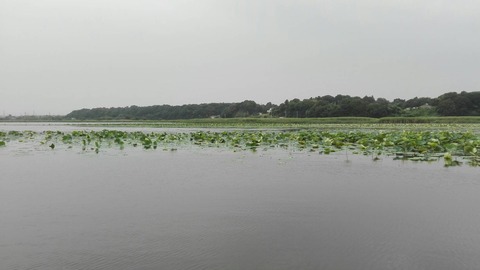 S_4622240302940