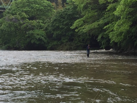 20160504kameyama (5)