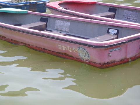 20150726h1sagamiko (60)
