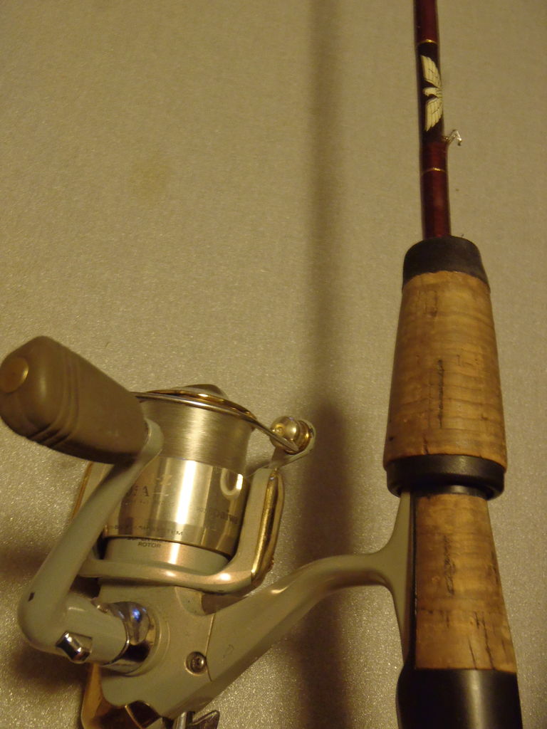 初号機】フェンウィックゴールデンウィングダウンショットSPを見つめ