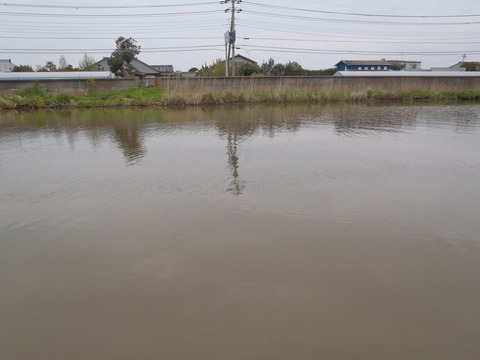 20150419H-1sintone (58)