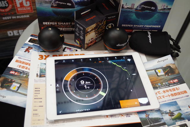 DEEPERさん専用 DEEPER 石井竜也 CD+Blu-ray 中古 米米 ちょっちゃん