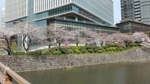 20160402benkeibori (7)