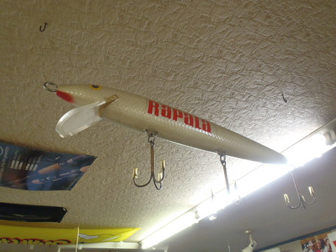 20150606tsukuikoprac (106)