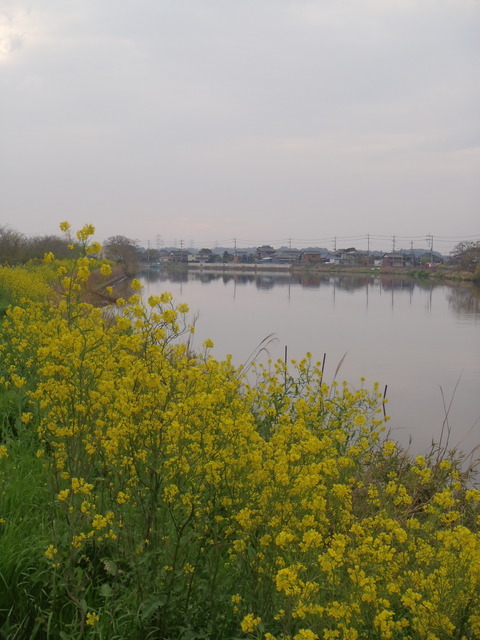 20150419H-1sintone (10)