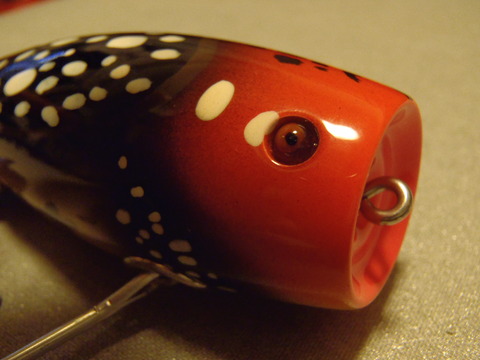 numapop (4)