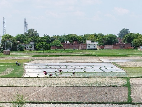IMG_20250706_193132