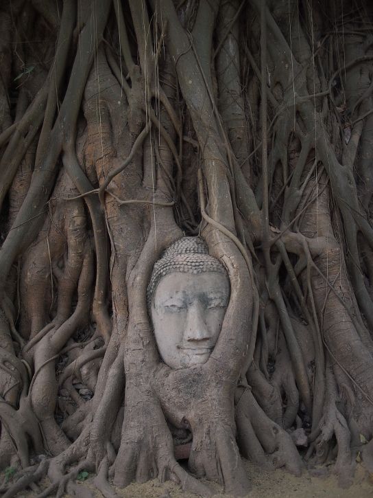 Wat Lokayasutharam