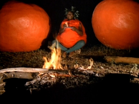 killtomato