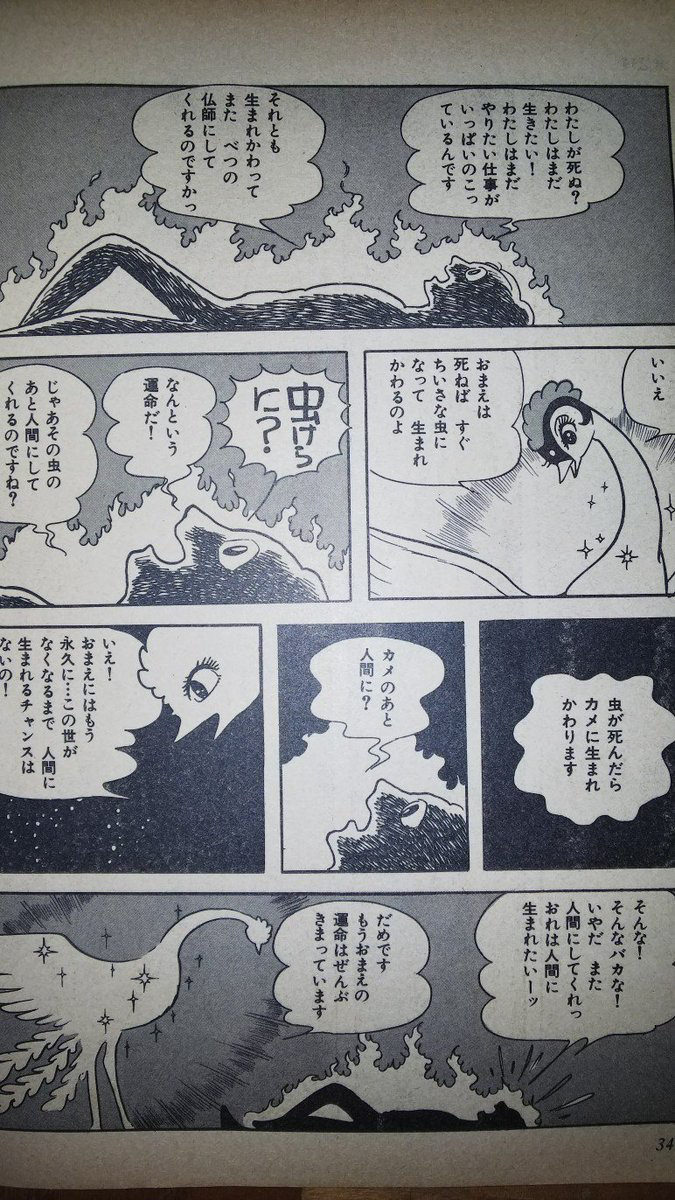 火の鳥 あなたは不老不死の神になるのです 強制 男 なんで僕が選ばれたんだ 火の鳥 まとメメちゃん