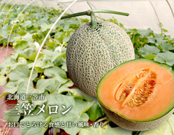 img-item01