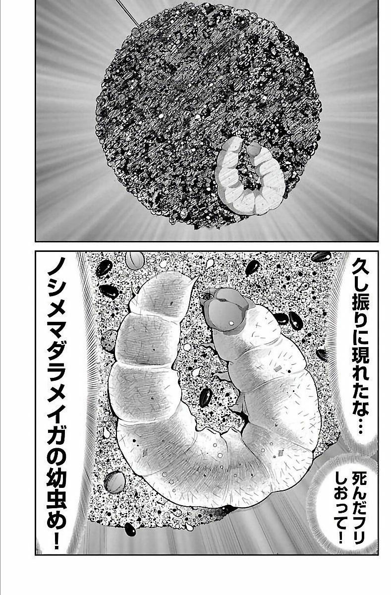 閲覧注意 Jk 七味の中に虫いるか確認しないと まとメメちゃん 閲覧注意 Jk 七味の中に虫いるか確認しないと まとメメちゃん